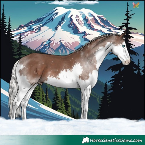 Horse Color:White Spotted Silver Black Splash 