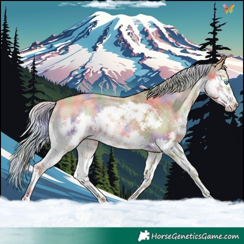 Horse Color:Nacre Silver Sable Champagne Splash