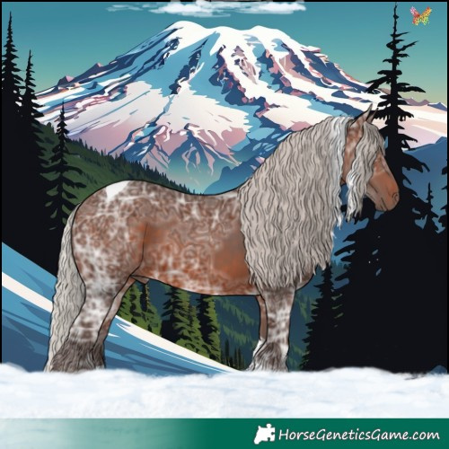 Horse Color:Silver Brown Ice Tobiano
