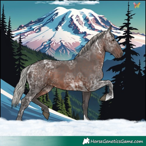 Horse Color:Silver Brown Ice 