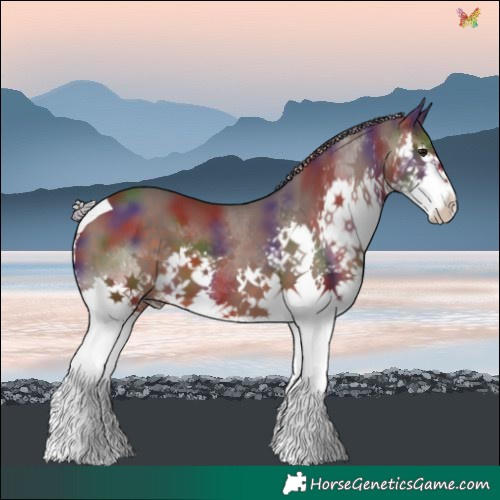 Horse Color:Nacre Silver Brown Splash Tobiano 