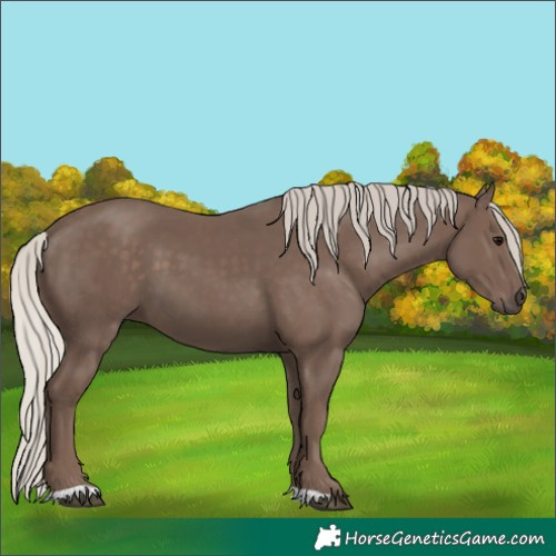 Horse Color:Silver Black 