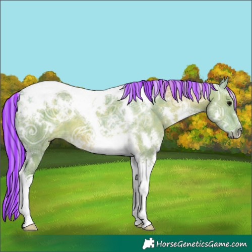 Horse Color:Painted Watercolor White Spotted Silver Black Ice Tobiano 