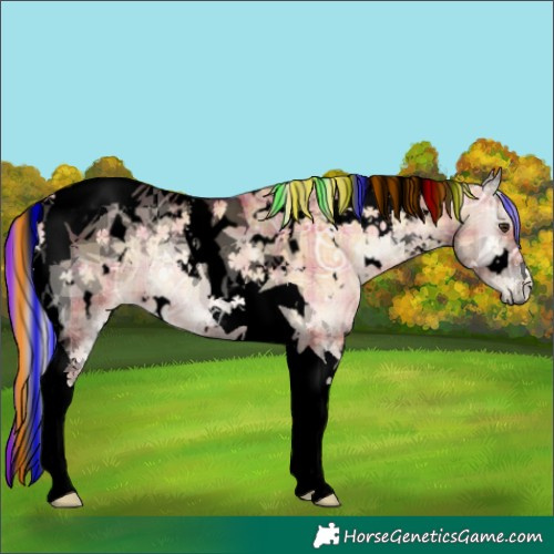 Horse Color:Void Painted Plaid  White Spotted Silver Bay Ice Pearl Onyx Tobiano 