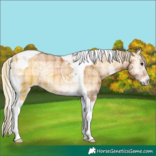 Horse Color:Plaid  Silver Bay Ice Onyx Sabino Tobiano 