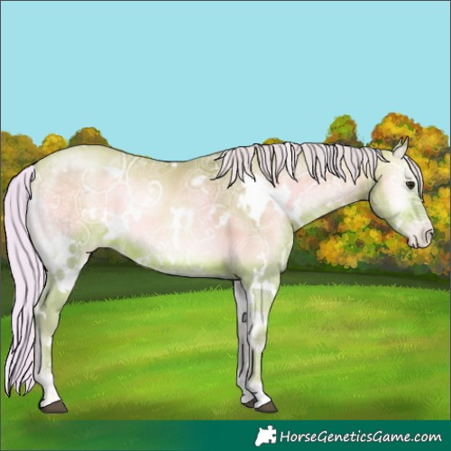 Horse Color:Watercolor White Spotted Silver Brown Ice Pearl Onyx