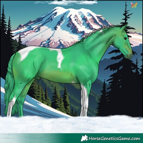 Horse Color:Watercolor Brown Tobiano 