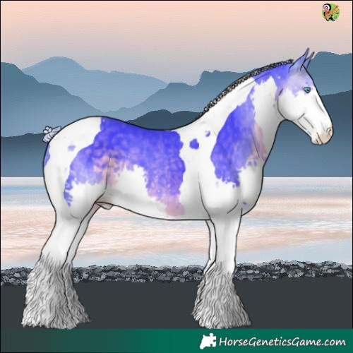 Horse Color:Watercolor Silver Buckskin Splash Tobiano 