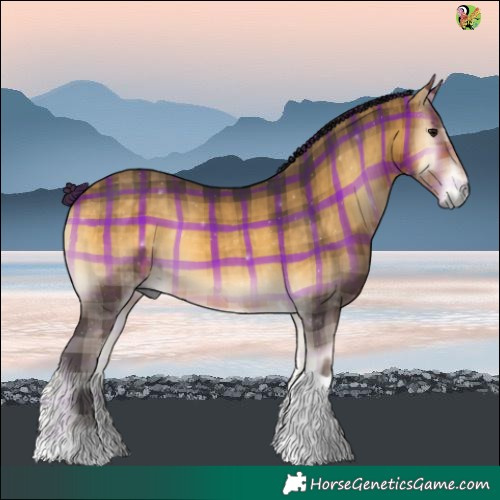 Horse Color:Plaid  Buckskin Onyx Tobiano 