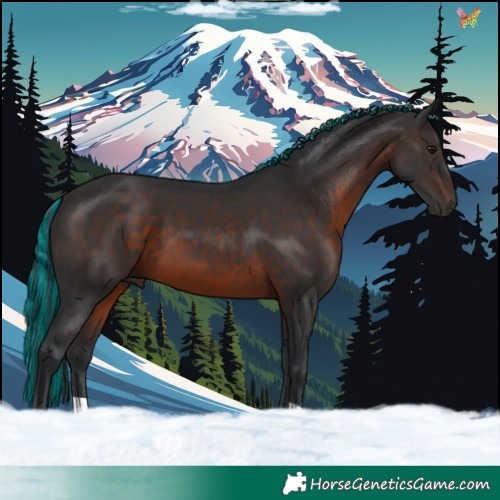 Horse Color:Painted Brown