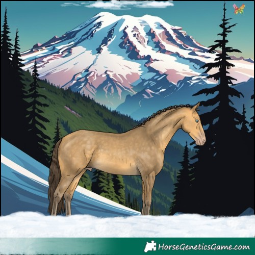 Horse Color:Amber Cream Champagne 