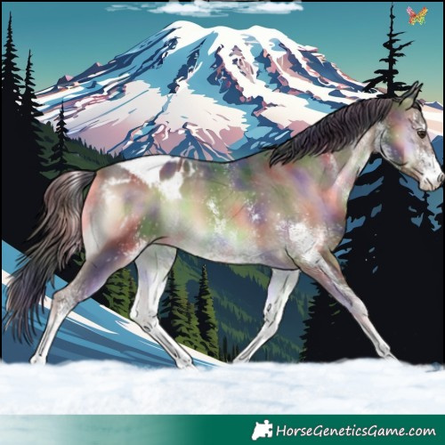 Horse Color:Nacre White Spotted Liver Red Onyx Blanket 