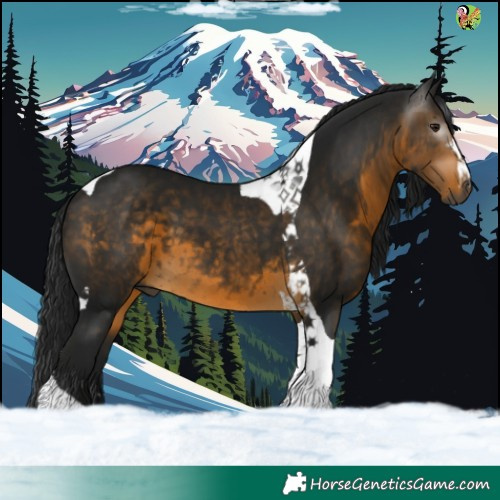 Horse Color:Gray Buckskin Tobiano