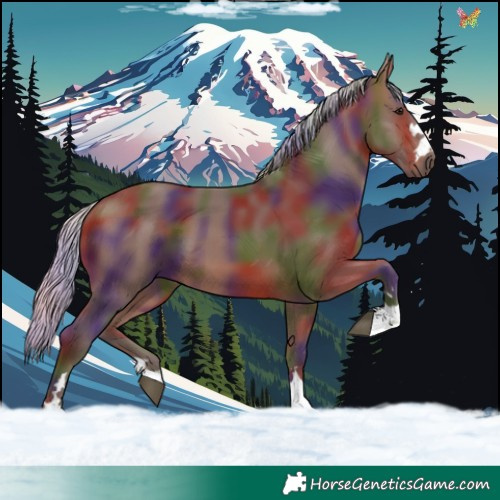 Horse Color:Nacre Silver Bay 