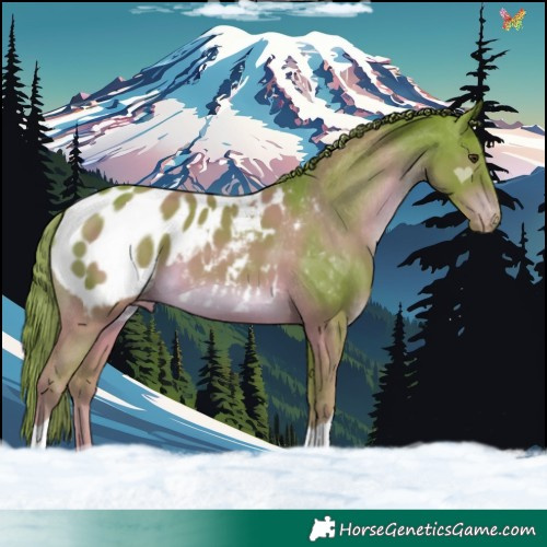 Horse Color:Watercolor Liver Chestnut Blanket 