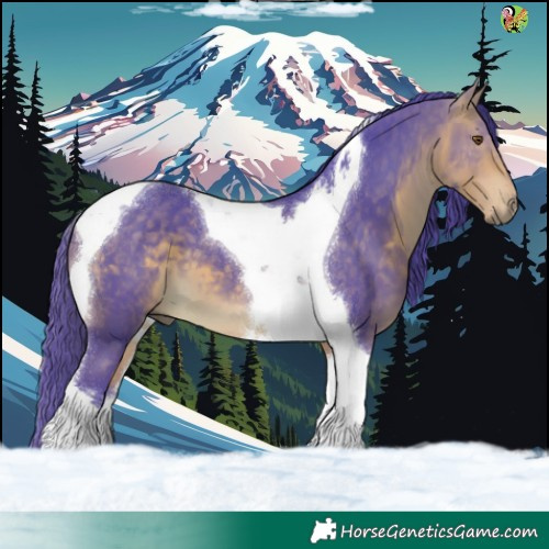 Horse Color:Watercolor Buckskin Tobiano