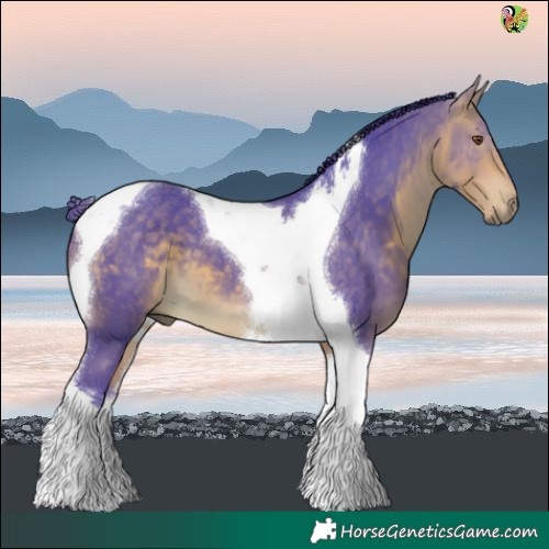 Horse Color:Watercolor Buckskin Tobiano 