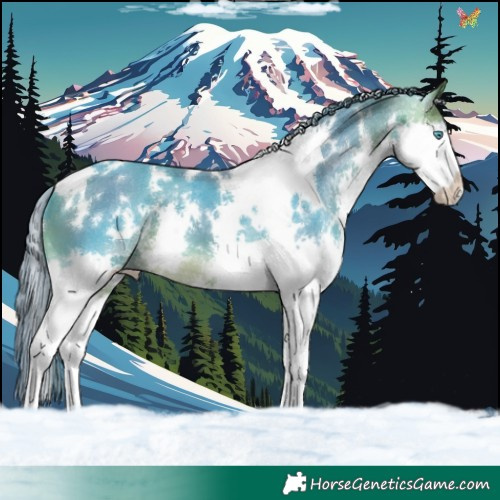 Horse Color:Watercolor White Spotted Brown Splash 