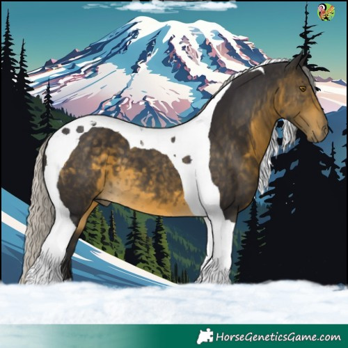Horse Color:Silver Buckskin Tobiano