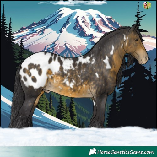 Horse Color:White Spotted Buckskin Tobiano Appaloosa 