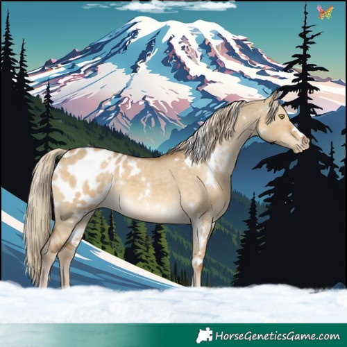 Horse Color:White Spotted Chocolate Palomino Dun Appaloosa Rabicano 