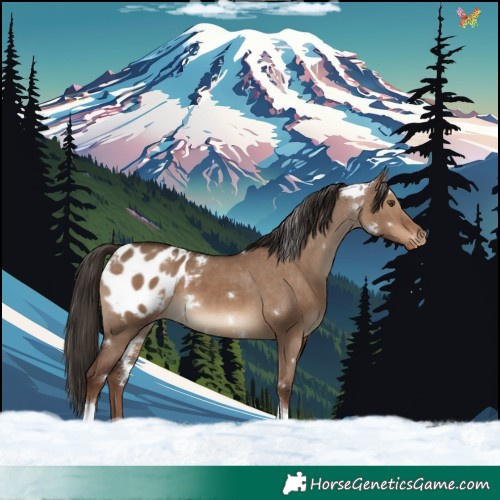 Horse Color:White Spotted Liver Red Dun Tobiano Appaloosa Rabicano 