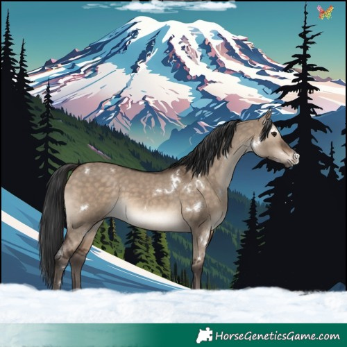Horse Color:White Spotted Brown Dun Rabicano 