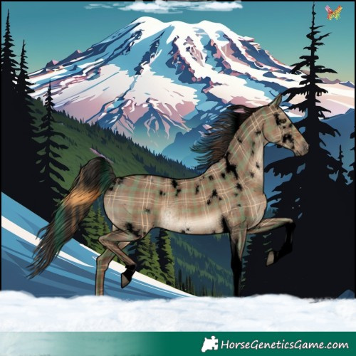 Horse Color:Void Plaid White Spotted Liver Red Dun Tobiano Rabicano