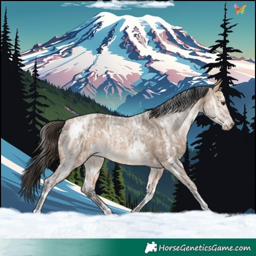 Horse Color:White Spotted Bay Ice Dun Rabicano 
