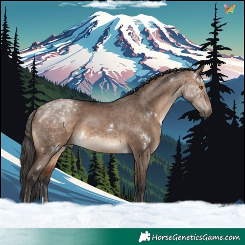 Horse Color:White Spotted Bay Dun Rabicano 
