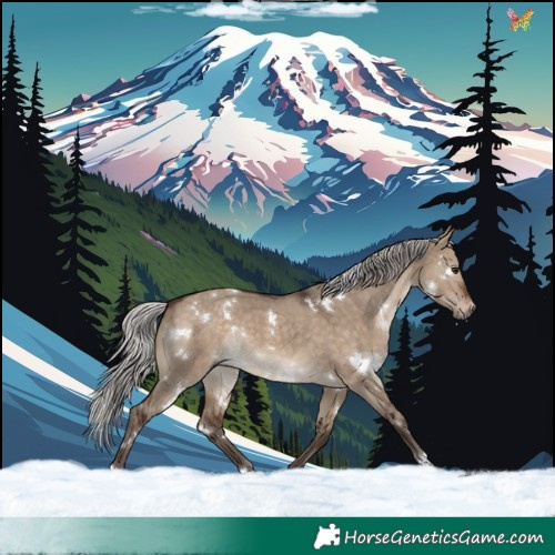 Horse Color:White Spotted Silver Brown Dun Rabicano 