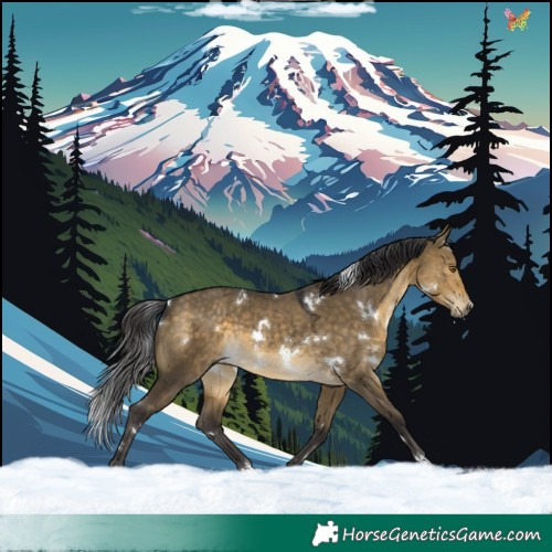 Horse Color:White Spotted Buckskin Dun Rabicano 
