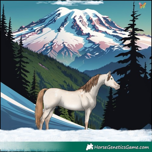 Horse Color:White Spotted Gold Champagne Dun Rabicano 