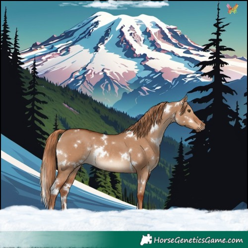 Horse Color:White Spotted Red Dun Rabicano