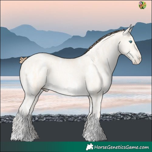 Horse Color:White Spotted Amber Cream Champagne Ice Pearl Rabicano 