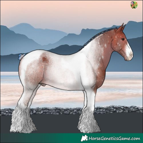 Horse Color:Painted White Spotted Silver Brown Tobiano 