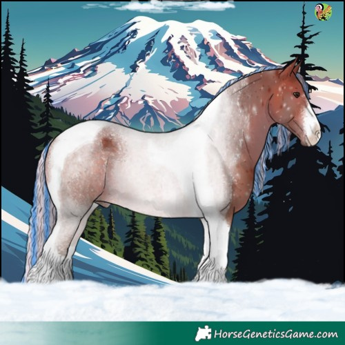 Horse Color:Painted White Spotted Silver Brown Tobiano