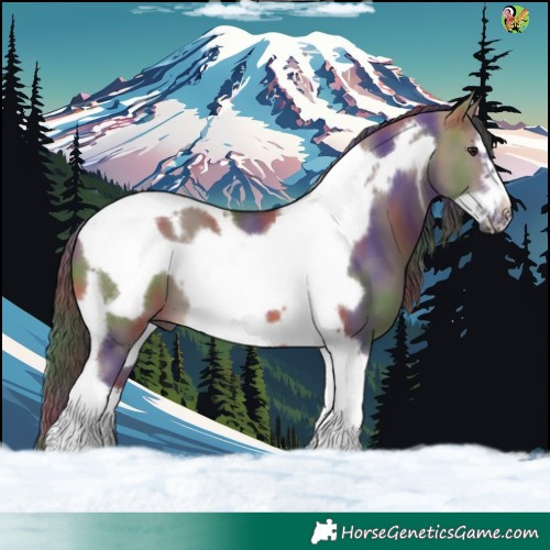 Horse Color:Nacre White Spotted Brown Dun Tobiano Frame 