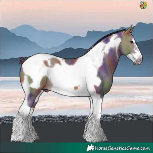 Horse Color:Nacre White Spotted Brown Dun Tobiano Frame 