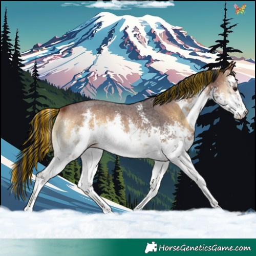 Horse Color:Painted White Spotted Brown Onyx Sabino 
