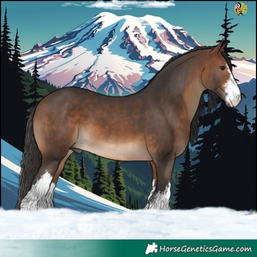 Horse Color:White Spotted Brown
