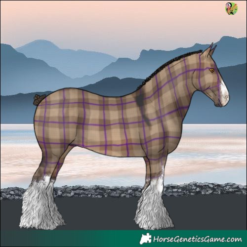 Horse Color:Plaid  White Spotted Brown Dun 