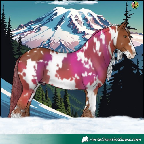 Horse Color:White Spotted Chestnut Frame