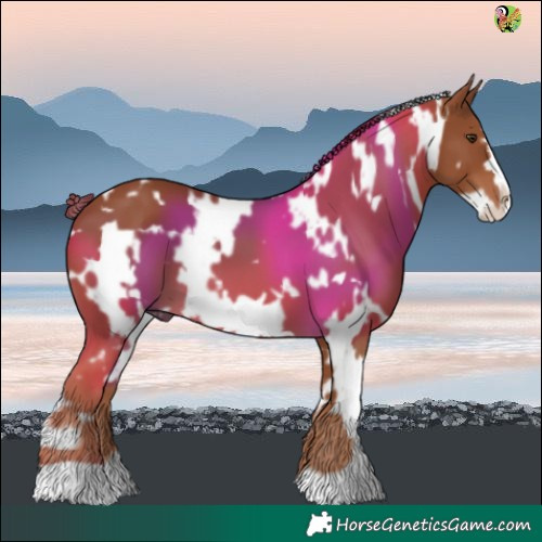 Horse Color:White Spotted Chestnut Frame 