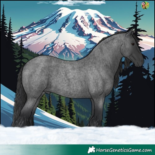Horse Color:White Spotted Blue Roan 