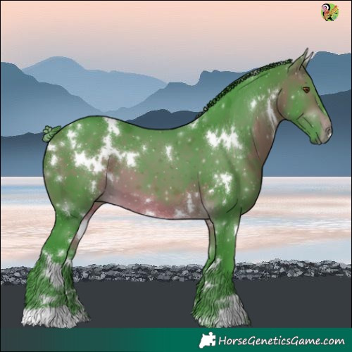 Horse Color:Watercolor White Spotted Brown 