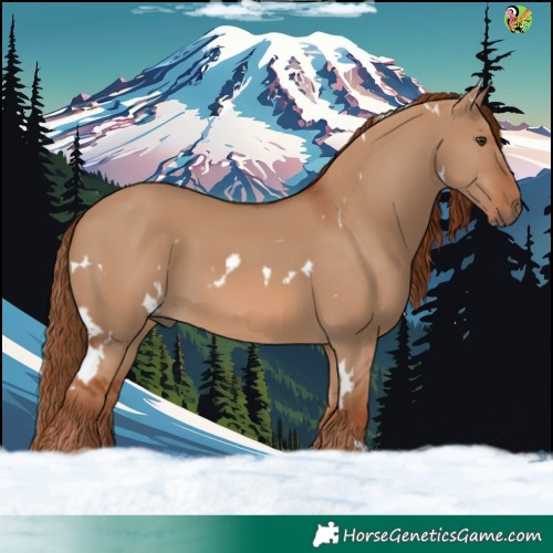 Horse Color:White Spotted Red Dun 