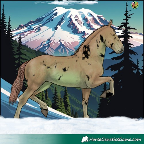 Horse Color:Void Watercolor White Spotted Chestnut 