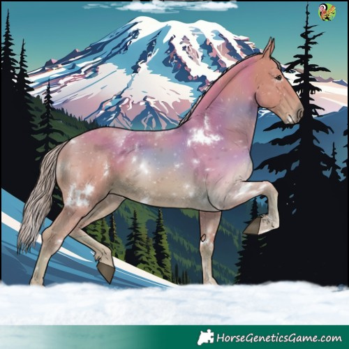 Horse Color:Watercolor White Spotted Chestnut 