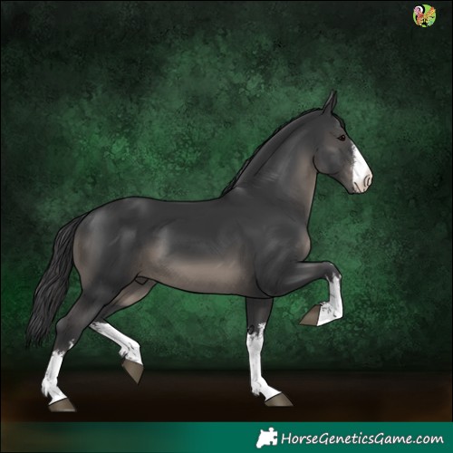 Horse Color:White Spotted Black 